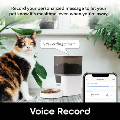 Smart 6L Pet Feeder - WiFi Control, Voice Recorder, Large Capacity, Auto Dispens